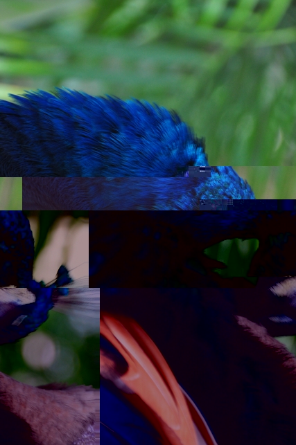 DSC_2048.JPG