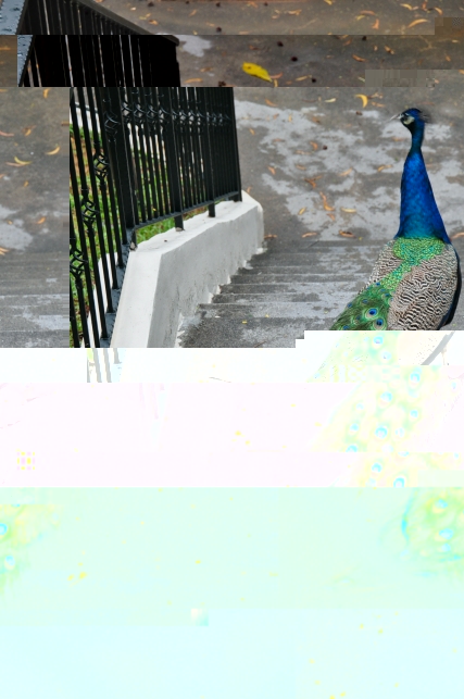 DSC_2116.JPG