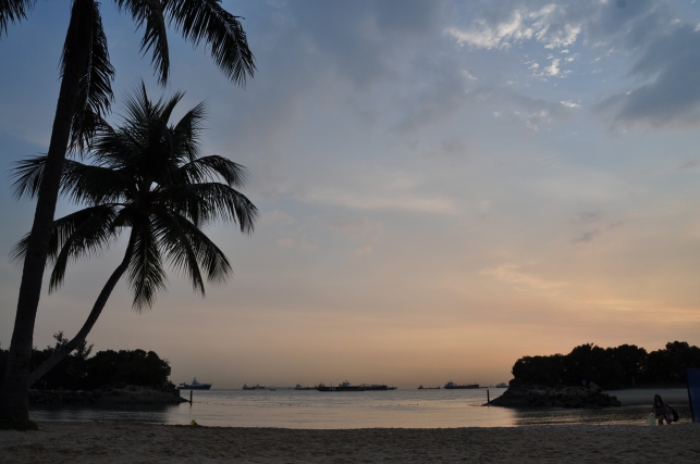 DSC_2117.JPG