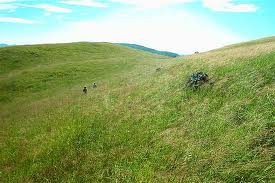 Hunger Games SB Mountain pic..jpg
