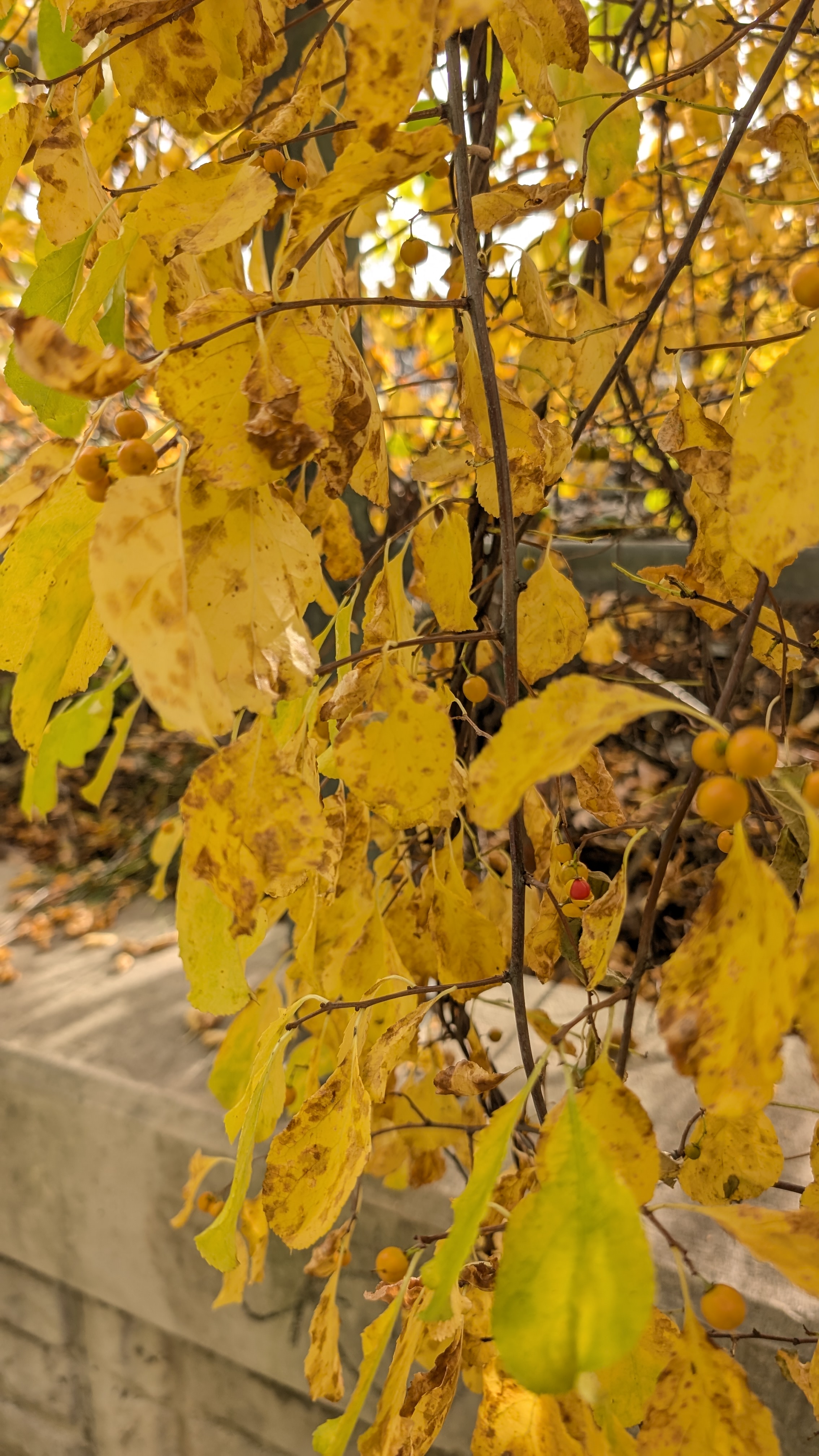 PXL_20261010_140728675.jpg