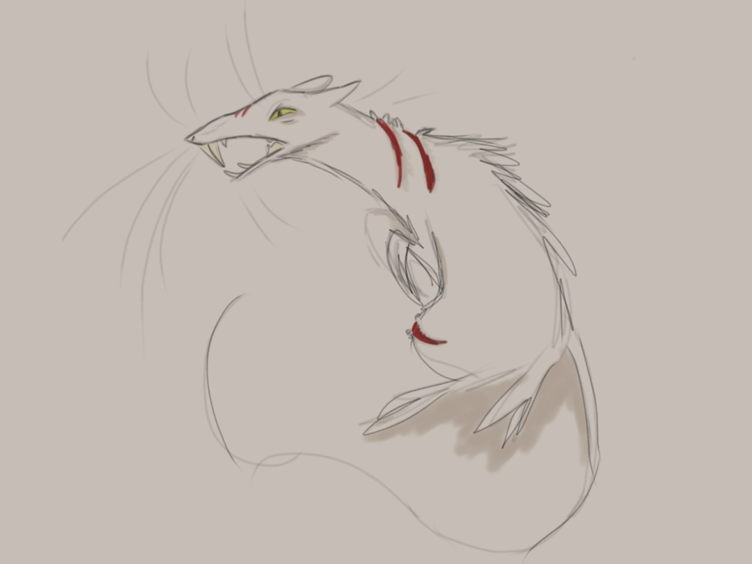 HiPaint_1782519512812.jpg