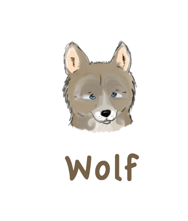 Litttle Brown Wolf.jpg