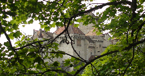 Chateau.jpg