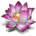 ICQ-icon.png