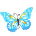 butterfly-blue-icon.png