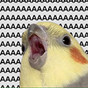 carinaicon.jpg