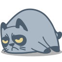 cat-grumpy-icon.png