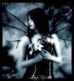 Photo of Raven