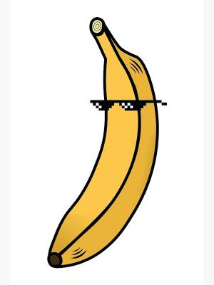 Photo of BananaBro437