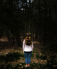 Photo of Sierra