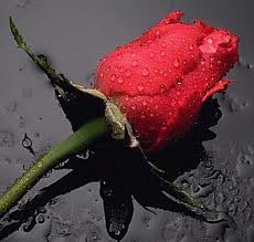 Photo of Al3xx