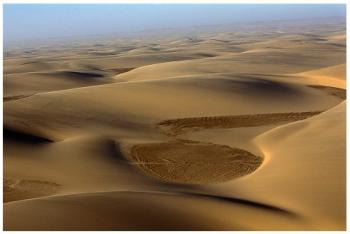 Photo of TheDreamSafari