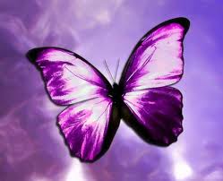 Photo of unsocialbutterfly