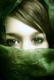 Photo of Shine