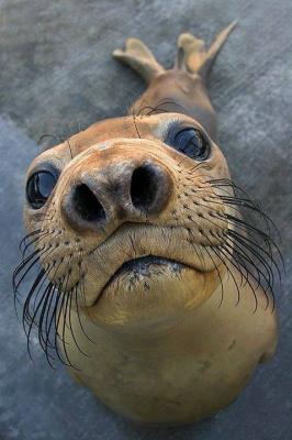 Photo of xXErnieWormXx