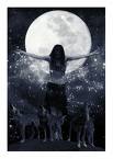 Photo of Dark Star