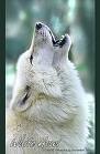 Photo of raquel.wolfangel