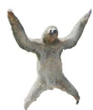 Photo of thetalentedsloth