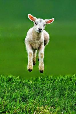 Photo of jumpingsheep