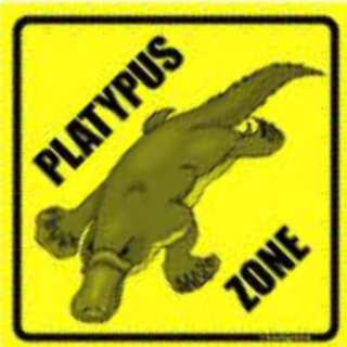 Photo of Artemis_Phoenix