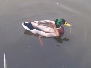 Photo of Danni88