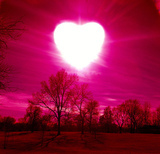 Photo of Sunny