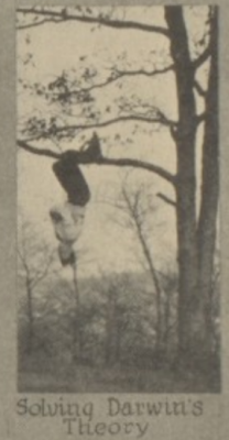 Photo of looseleaf