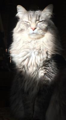 Photo of quitecontrary