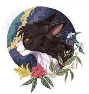 Photo of Flamefeather
