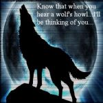 Photo of Okami
