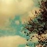 Photo of dreamer372