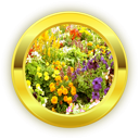 NaPo 17 Garden Club Badge