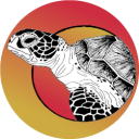 Team Tortoise 365