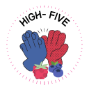 NaPo 21 High-Five