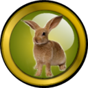 Review Challenge Hare