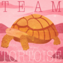RevMo2026 Team Tortoise