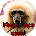 Monkeys vs Dragons 2018